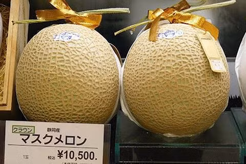 Hon nua ty dong/cap dua luoi Yubari Nhat Ban