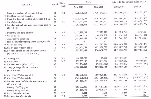 Biên lãi gộp lao dốc, Netland lỡ kế hoạch lợi nhuận 2019 Bien lai gop lao doc, Netland lo ke hoach loi nhuan 2019