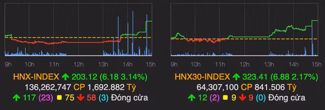 VN-Index ket thuc nam 2020 o moc 1.104 diem, tang 15% trong vong 1 nam-Hinh-2
