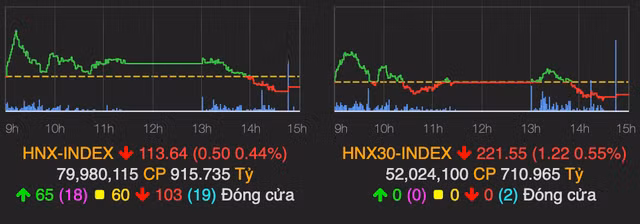 Co phieu CTD giam san, VN-Index quay dau giam diem-Hinh-2