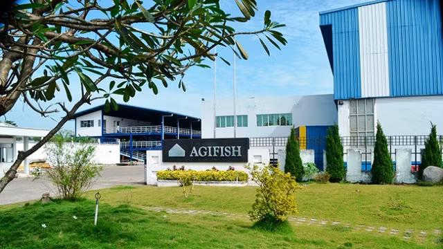Agifish lại bị hối thúc nộp Báo cáo tài chính kiểm toán Agifish lai bi hoi thuc nop Bao cao tai chinh kiem toan