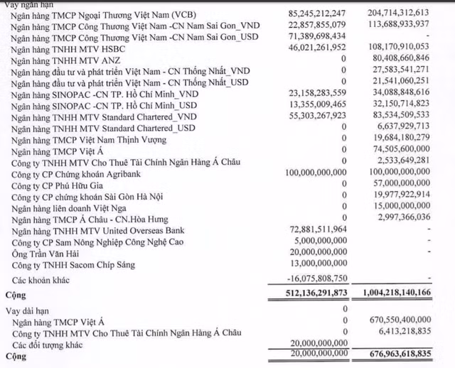 Sam Holdings báo lãi ròng năm 2019 sụt 25% nhưng nợ vay dài hạn giảm đáng kể 97% - Hình 2 Sam Holdings bao lai rong nam 2019 sut 25% nhung no vay dai han giam dang ke 97%-Hinh-2