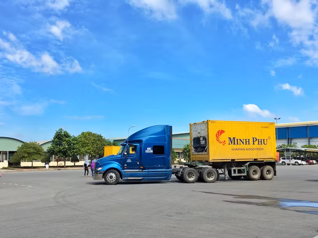 Dính lùm xùm lẩn tránh thuế, 'vua tôm' Minh Phú báo lãi ròng trong quý 4/2019 lao dốc 51% Dinh lum xum lan tranh thue, 'vua tom' Minh Phu bao lai rong trong quy 4/2019 lao doc 51%