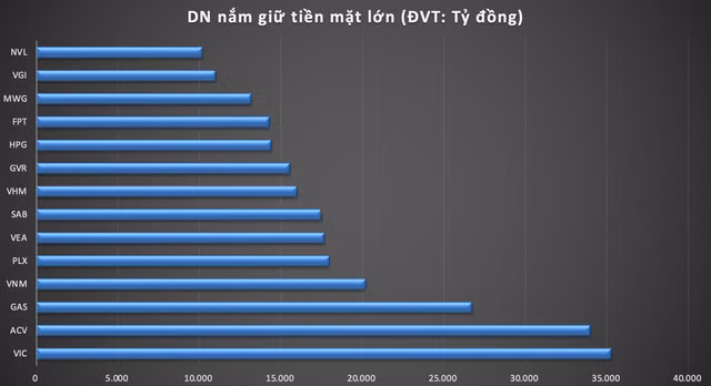 Top nhung doanh nghiep so huu hon 10.000 ty dong tien mat trong dai dich