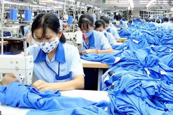 Cổ phiếu doanh nghiệp ngành may lao dốc cả quý 1, có thấy 'ánh sáng cuối đường hầm' quý 2? Co phieu doanh nghiep nganh may lao doc ca quy 1, co thay 'anh sang cuoi duong ham' quy 2?