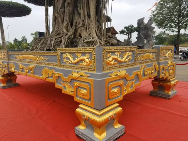 Đại gia Việt và các thú vui tốn tiền tỷ - Hình 10 Dai gia Viet va cac thu vui ton tien ty-Hinh-10