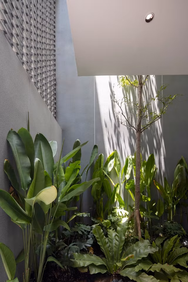 Nhà Đà Nẵng lên báo Mỹ bởi thiết kế vỏ nhiệt đới đặc biệt - Hình 5 Nha Da Nang len bao My boi thiet ke vo nhiet doi dac biet-Hinh-5