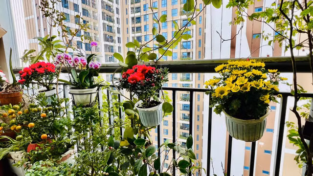 Cận cảnh không gian sống ngập sắc xuân của MC Diễm Quỳnh - Hình 6 Can canh khong gian song ngap sac xuan cua MC Diem Quynh-Hinh-6