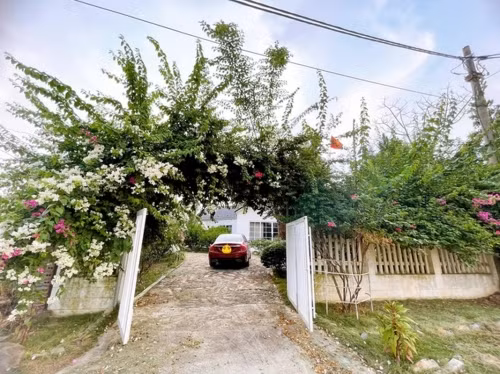 Biệt thự nhà vườn của “Nam Tào” Đỗ Duy Nam ngập hoa trái - Hình 5 Biet thu nha vuon cua “Nam Tao” Do Duy Nam ngap hoa trai-Hinh-5