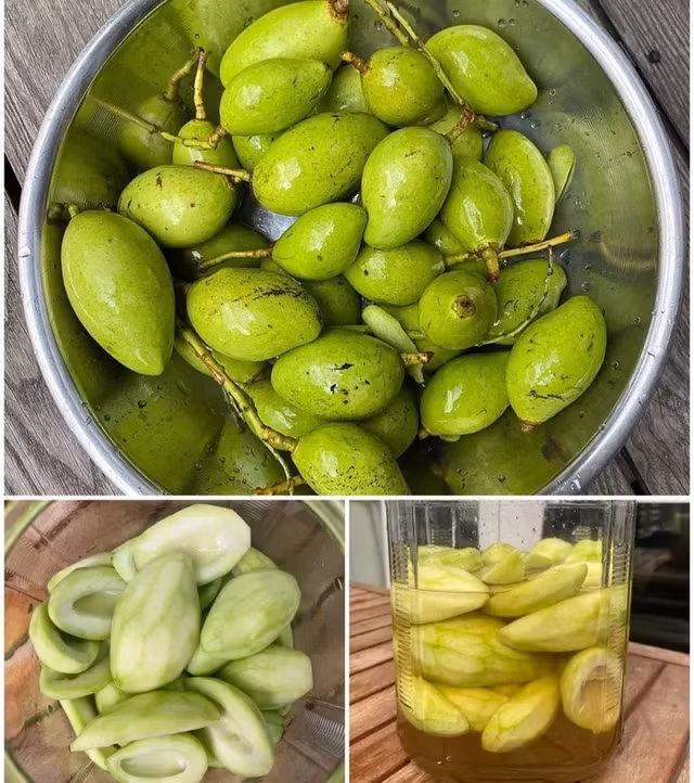 Can canh khu vuon du loai trai cay trong biet thu cua Tang Thanh Ha-Hinh-11