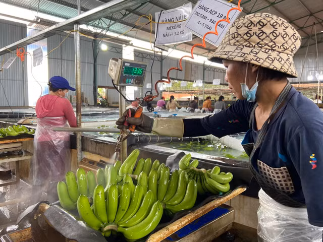 Ben trong trang trai trong chuoi hang nghin ha cua dai gia Doan Nguyen Duc-Hinh-11