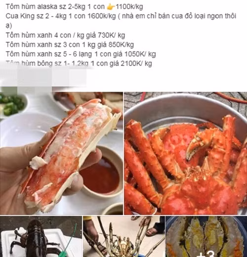 Tôm hùm Alaska, cua hoàng đế giá 'giải cứu' vẫn chát? - Hình 2 Tom hum Alaska, cua hoang de gia 'giai cuu' van chat?-Hinh-2