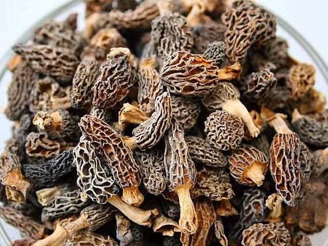 Nam bung de dac biet nhu nao ma co gia 15 trieu dong/kg?-Hinh-3