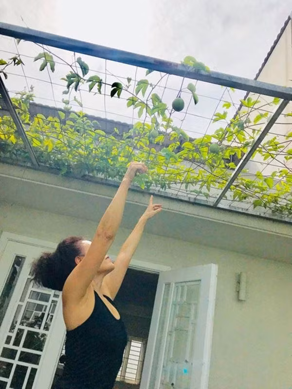 Bố mẹ Hồ Ngọc Hà sở hữu biệt thự 20 tỷ khủng cỡ nào? - Hình 9 Bo me Ho Ngoc Ha so huu biet thu 20 ty khung co nao?-Hinh-9