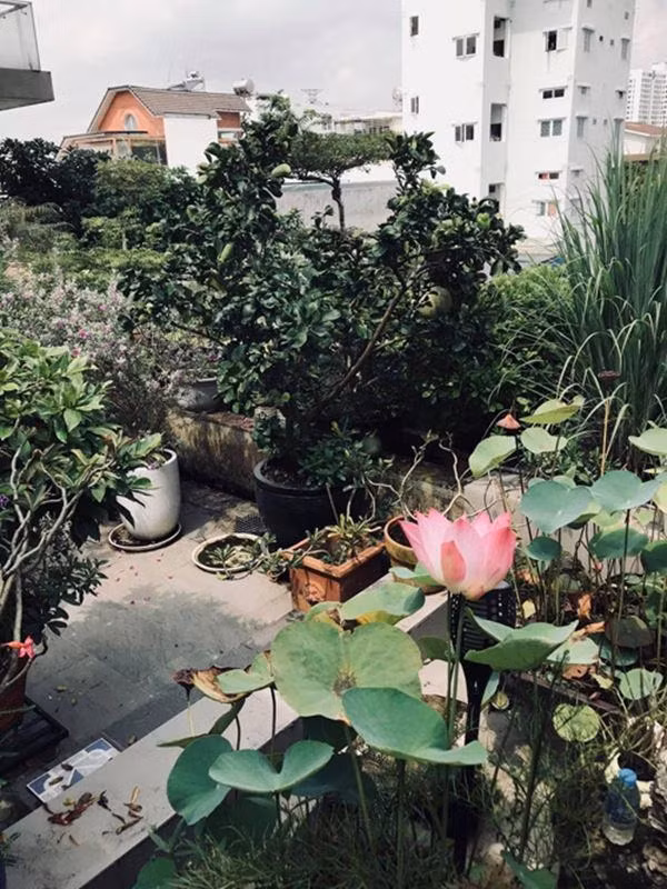 Bố mẹ Hồ Ngọc Hà sở hữu biệt thự 20 tỷ khủng cỡ nào? - Hình 10 Bo me Ho Ngoc Ha so huu biet thu 20 ty khung co nao?-Hinh-10