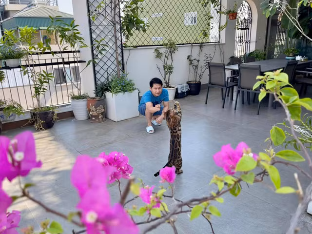 Xem noi dang mo uoc cua 'Vua nhac do' Trong Tan-Hinh-13
