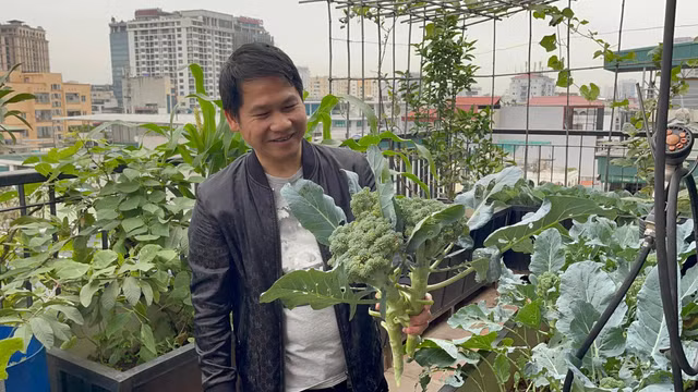 Xem noi dang mo uoc cua 'Vua nhac do' Trong Tan-Hinh-6