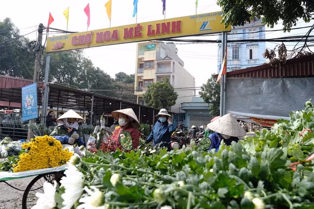Danh sách 5 chợ hoa Tết nổi tiếng ở Hà Nội - Hình 14 Danh sach 5 cho hoa Tet noi tieng o Ha Noi-Hinh-14