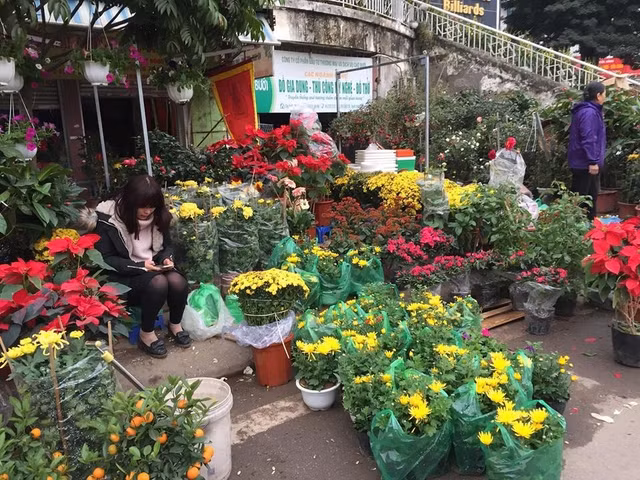 Danh sách 5 chợ hoa Tết nổi tiếng ở Hà Nội - Hình 7 Danh sach 5 cho hoa Tet noi tieng o Ha Noi-Hinh-7