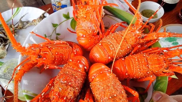 5 loại hải sản đắt đỏ ở các vùng biển đảo Việt Nam - Hình 10 5 loai hai san dat do o cac vung bien dao Viet Nam-Hinh-10