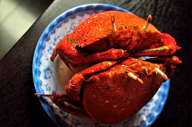 5 loại hải sản đắt đỏ ở các vùng biển đảo Việt Nam - Hình 6 5 loai hai san dat do o cac vung bien dao Viet Nam-Hinh-6
