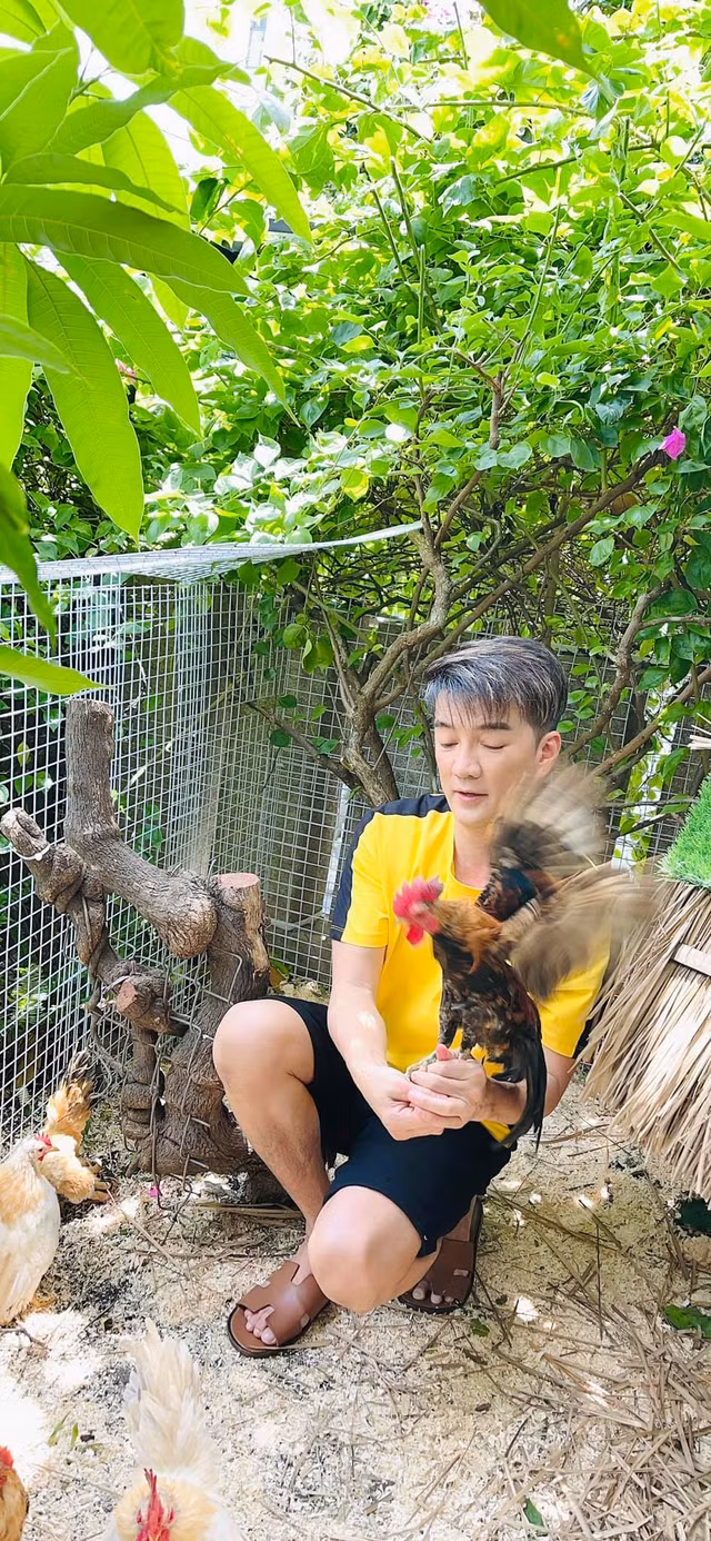 Ngam khu vuon ngap rau trai trong biet thu cua Dam Vinh Hung-Hinh-9