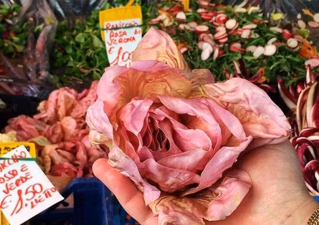 3 loại rau nghe quen thuộc nhưng giá đắt nhất thế giới - Hình 9 3 loai rau nghe quen thuoc nhung gia dat nhat the gioi-Hinh-9