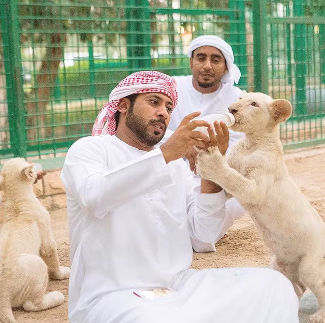 So thich xa hoa cua gioi nha giau Dubai-Hinh-9