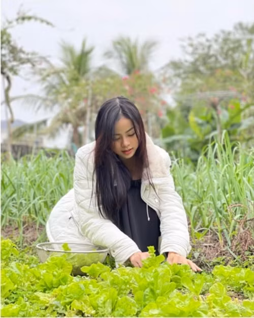 Man nhan vuon rau xanh muot trong nha A hau Dao Thi Hien-Hinh-6