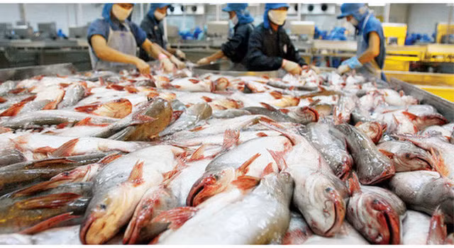 Lý giải nguyên nhân lỗ nặng, 'vua cá tra' Hùng Vương có thêm động thái mới Ly giai nguyen nhan lo nang, 'vua ca tra' Hung Vuong co them dong thai moi