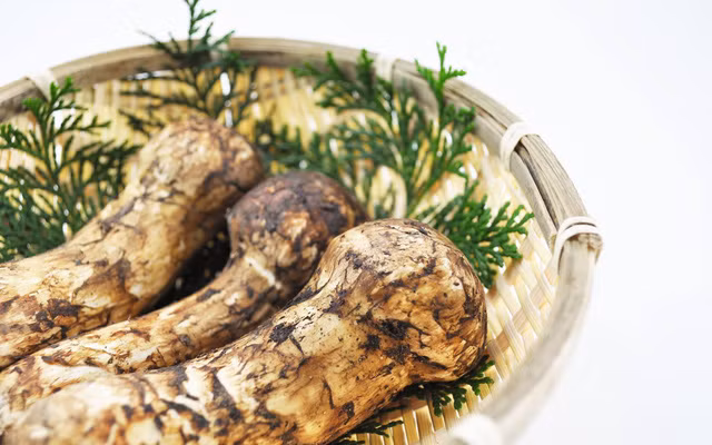 Đại gia Việt không tiếc tiền chi mua loại nấm đắt đỏ hàng chục triệu/kg - Hình 14 Dai gia Viet khong tiec tien chi mua loai nam dat do hang chuc trieu/kg-Hinh-14