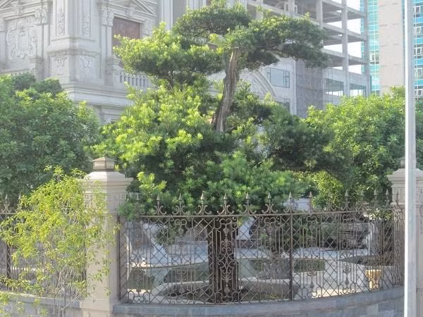 Xem lâu đài trăm tỷ vô tiền khoáng hậu của đại gia Hà Nam - Hình 4 Xem lau dai tram ty vo tien khoang hau cua dai gia Ha Nam-Hinh-4