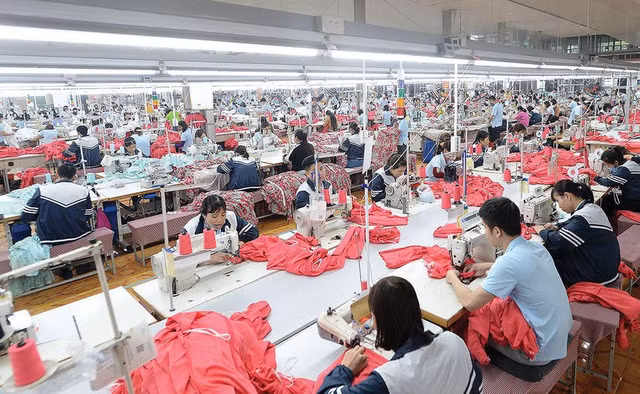 MSH báo lãi quý 1 tăng 44%, sắp chia cổ tức tiền mặt tỷ lệ 30% MSH bao lai quy 1 tang 44%, sap chia co tuc tien mat ty le 30%