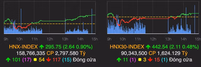 VN-Index tang manh 22 diem, co phieu thep 'bung lua'-Hinh-2