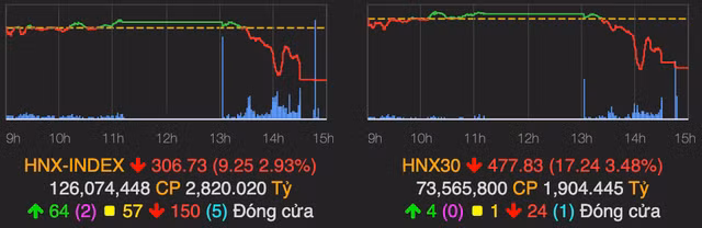 Nganh ban le tru sac xanh khi VN-Index lien tiep do day giam 27 diem-Hinh-2