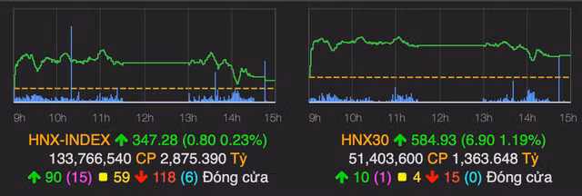 Thi truong bien dong tieu cuc, VN-Index giam hon 8 diem-Hinh-2