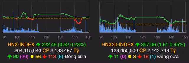 VN-Index gap ap luc chot loi, roi 6 diem ket phien 13/1-Hinh-2