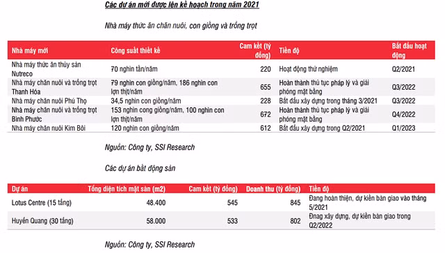 Dabaco co the dat loi nhuan gan 1.000 ty dong trong nam 2021