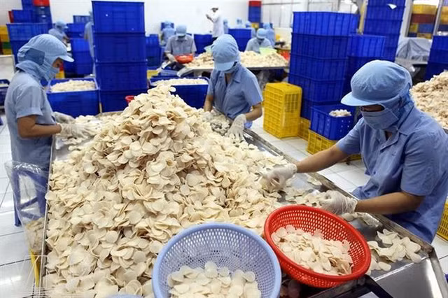 Sa Gang đặt mục tiêu lãi tăng 49% sau khi về với Vĩnh Hoàn Sa Gang dat muc tieu lai tang 49% sau khi ve voi Vinh Hoan