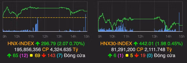 Co phieu VN30 bi ban manh, VN-Index tieu cuc va mat hon 7 diem-Hinh-2