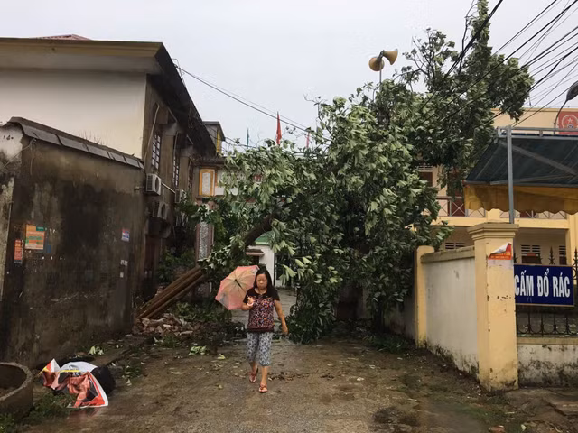 Thiet hai ban dau do bao so 2 tai Nghe An, Ha Tinh-Hinh-3