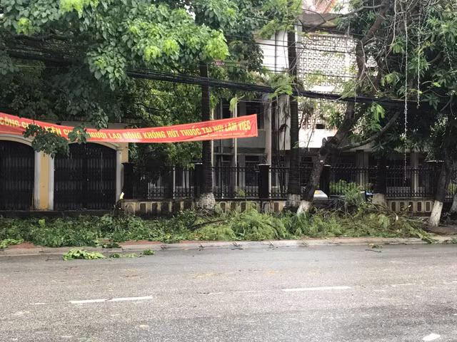 Thiet hai ban dau do bao so 2 tai Nghe An, Ha Tinh-Hinh-5