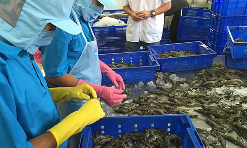 Có một số ngành hàng phát triển xuất khẩu rất nhanh, nhưng có một số ngành hàng còn lúng túng, lúc trồi lúc sụt. Có một số ngành hàng phát triển xuất khẩu rất nhanh, nhưng có một số ngành hàng còn lúng túng, lúc trồi lúc sụt.