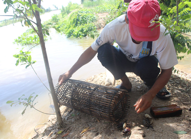 Dân vùng lũ "hốt bạc" nhờ đánh bắt đặc sản “của trời cho” - Hình 2 Dan vung lu