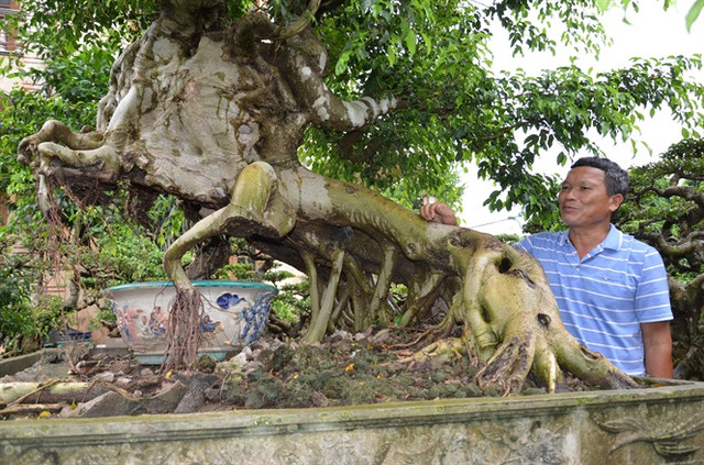 Chuyện truyền kỳ về gã đồ tể có vườn cây cảnh nhất nhì miền Bắc - Hình 3 Chuyen truyen ky ve ga do te co vuon cay canh nhat nhi mien Bac-Hinh-3