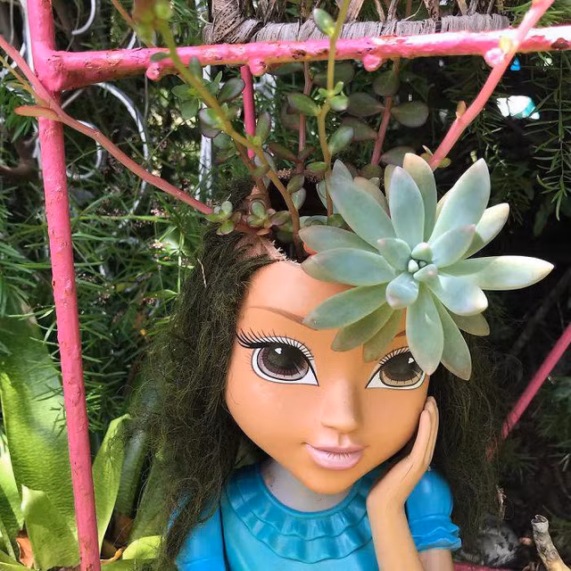 Đối với những người yêu thích trồng cây, làm vườn, khi có ít chi phí đầu tư và nhà không có nhiều diện tích đất, thì bất cứ thứ gì cũng có thể biến thành công cụ gieo trồng, từ thùng nhựa, chai lọ, lốp xe, đến cả giày dép, túi xách, nồi chảo,... Không nằm ngoài những sự sáng tạo ấy, nhiều người còn tận dụng cả... búp bê cũ để trồng cây.