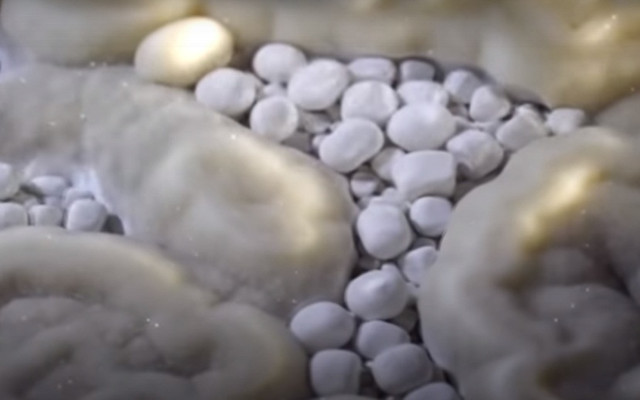 Phát hiện hang động khổng lồ tuyệt đẹp trong hố sụt - Hình 3 Phat hien hang dong khong lo tuyet dep trong ho sut-Hinh-3