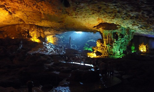 Khám phá hang động đẹp hoang sơ, hệ động thực vật phong phú nhất VN - Hình 5 Kham pha hang dong dep hoang so, he dong thuc vat phong phu nhat VN-Hinh-5