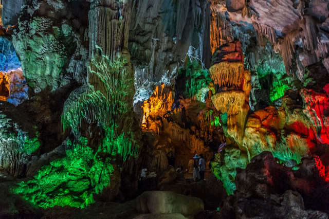 Khám phá hang động đẹp hoang sơ, hệ động thực vật phong phú nhất VN - Hình 4 Kham pha hang dong dep hoang so, he dong thuc vat phong phu nhat VN-Hinh-4