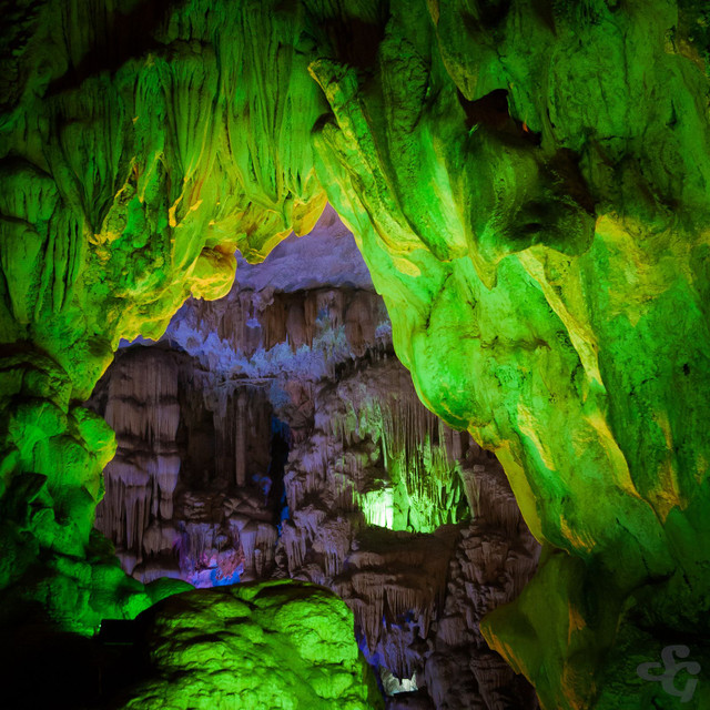 Khám phá hang động đẹp hoang sơ, hệ động thực vật phong phú nhất VN - Hình 6 Kham pha hang dong dep hoang so, he dong thuc vat phong phu nhat VN-Hinh-6